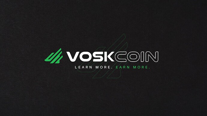 VoskCoin Banner 2024