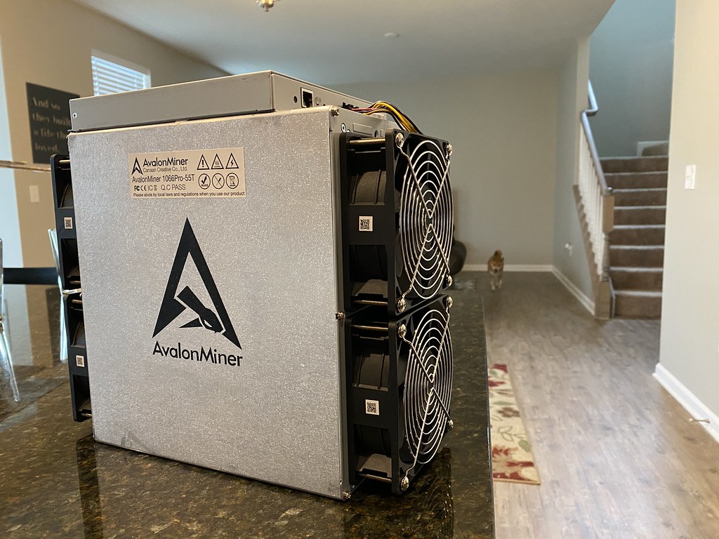 avalon bitcoin mining rig