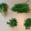 Plants_AG